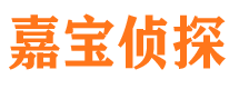 梨树侦探公司